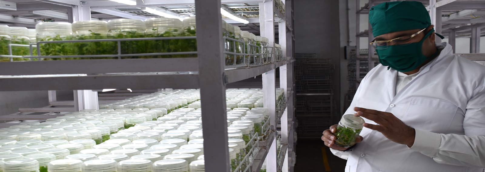 Growth Room
