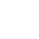 Icon 33