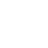 Icon 55