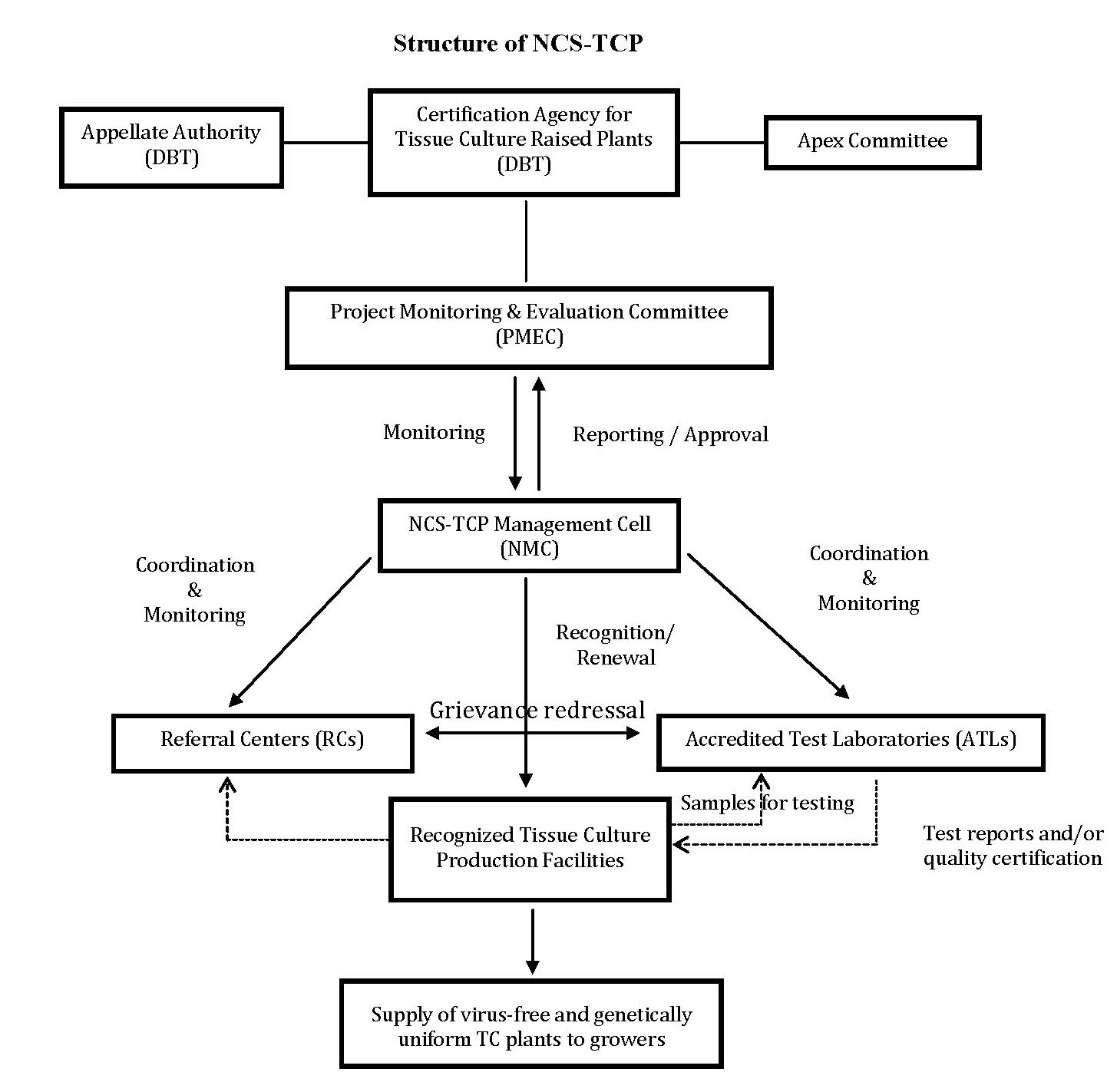 NCS TCP System